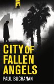 City of Fallen Angels