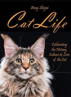 Cat Life - Shojai, Amy