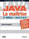 Java. La maîtrise: Java 5 et 6