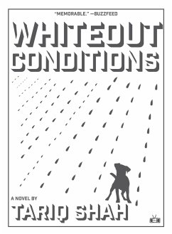 Whiteout Conditions - Shah, Tariq