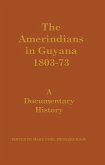 The Amerindians in Guyana 1803-1873 (eBook, PDF)