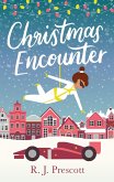 Christmas Encounter (eBook, ePUB)