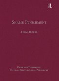 Shame Punishment (eBook, PDF)