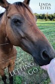 Letting Go (eBook, ePUB)