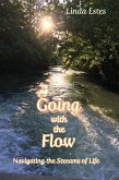 Going with the Flow (eBook, ePUB) Going with the Flow (eBook, ePUB)