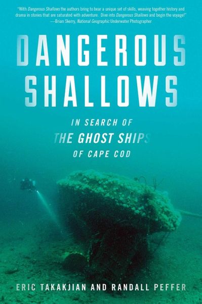 Dangerous Shallows (eBook, ePUB)