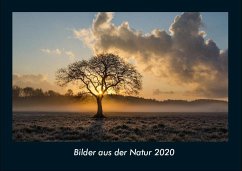 Bilder aus der Natur 2020 Fotokalender DIN A4 - Tobias Becker