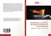 Modélisation numérique des effets d¿incendie sur l¿environnement