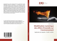 Modélisation numérique des effets d¿incendie sur l¿environnement - Chettouh, Samia