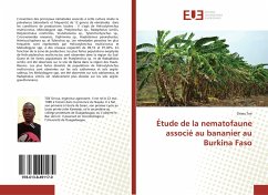 Étude de la nematofaune associé au bananier au Burkina Faso - Toe, Drissa