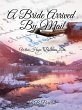 A Bride Arrived By Mail (eBook, ePUB) - Bild 1