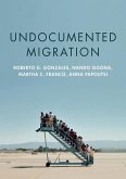 Undocumented Migration (eBook, ePUB)