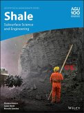Shale (eBook, ePUB)