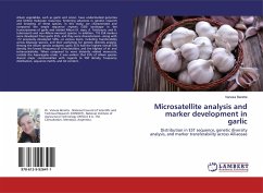 Microsatellite analysis and marker development in garlic