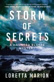 Storm of Secrets (eBook, ePUB)