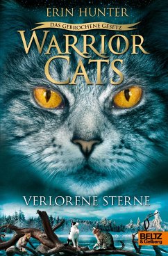 Verlorene Sterne / Warrior Cats Staffel 7 Bd.1 - Hunter, Erin