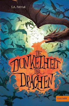 Die Dunkelheit der Drachen - Patrick, S. A.