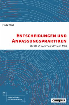 Entscheidungen und Anpassungspraktiken - Thiel, Carla