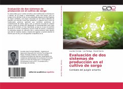 Evaluación de dos sistemas de producción en el cultivo de sorgo - Cornejo, Lourdes;Noriega, Luis;García, Erandi