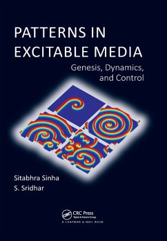 Patterns in Excitable Media - Sinha, Sitabhra; Sridhar, S.