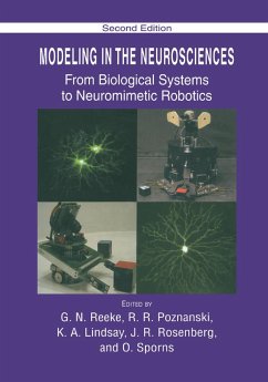 Modeling in the Neurosciences