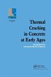 Thermal Cracking in Concrete at Early... - Bild 1