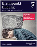 Brennpunkt Bildung (eBook, ePUB)
