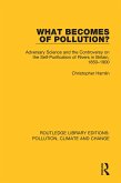 What Becomes of Pollution? (eBook, PDF)