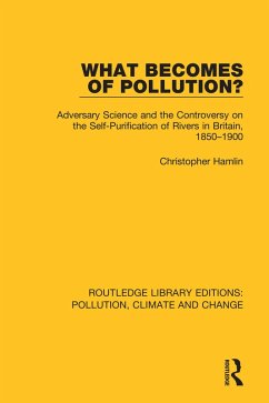 What Becomes of Pollution? (eBook, PDF) - Hamlin, Christopher