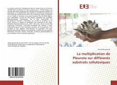 La multiplication de Pleurote sur différents substrats cellulosiques - Boussioud, Cherifa