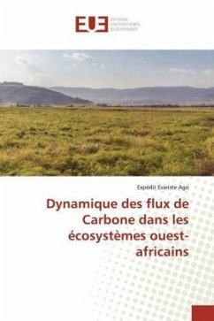 Dynamique des flux de Carbone dans les écosystèmes ouest-africains - Ago, Expedit Evariste