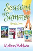Seasons of Summer Novella Series: The Complete Set