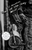 J.J. Houston: Trail of the Grey Wolf