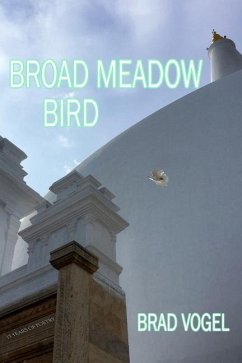 Broad Meadow Bird: 15 years of poetry - Vogel, Brad