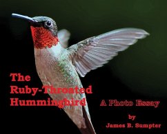 The Ruby-throated Hummingbird - Sumpter, James B