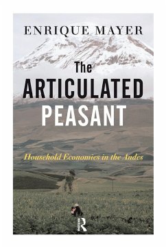 The Articulated Peasant - Mayer, Enrique