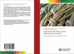 Utilização de fibras como aditivos no concreto - Soares Marques, Landson;de Jesus, Marli Silva;Freitas, Gabriele Nascimento