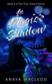 In Magic's Shadow: Book 2 of The Four Sisters Series
