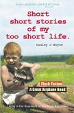 Short Short Stories of My Too Short Life