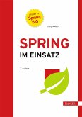 Spring im Einsatz (eBook, PDF)