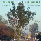 De la photo à la photographie: Un arbre sur la Lubumbashi