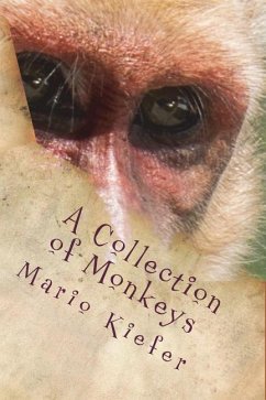 A Collection of Monkeys - Kiefer, Mario