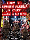 How to Represent yourself in Court Against 3 Bad Bears And win A Settlement: Win A Settlement Against Trans Union, Experian, Equifax