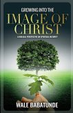 Growing Into The Image of Christ: A Biblical Perspective on Spiritual Maturity