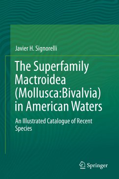 The Superfamily Mactroidea (Mollusca:Bivalvia) in American Waters (eBook, PDF) - Signorelli, Javier H.