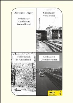 Kommissar Handerson - Sammelband (eBook, ePUB) - Träger, Adrienne