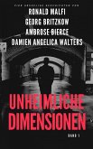 Unheimliche Dimensionen (eBook, ePUB)