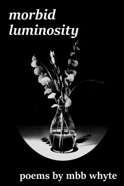 Cover Morbid Luminosity (eBook, ePUB)