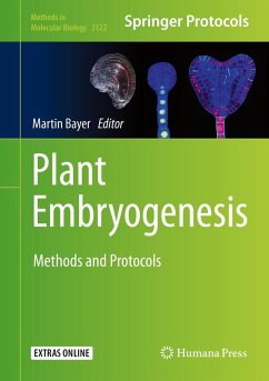 Cover Plant Embryogenesis