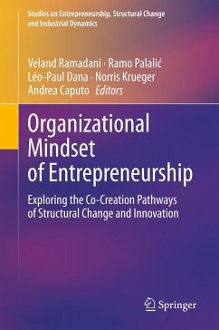 Organizational Mindset of Entrepreneurship